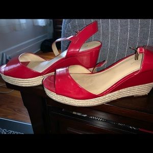 Red wedges